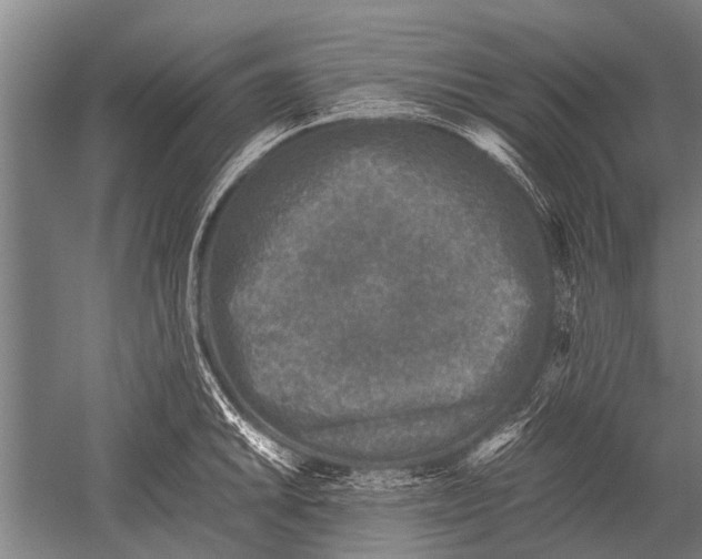 X0000051251046200507082145