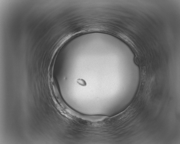 X0000051251047200507082145