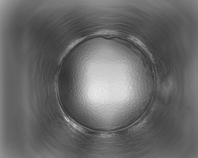 X0000051251049200507082145