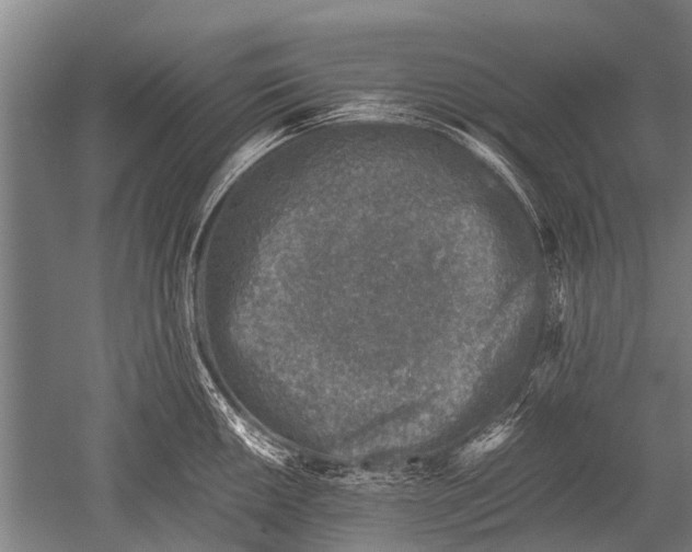 X0000051251050200507082145