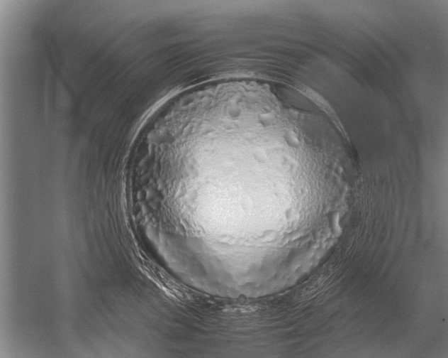 X0000051251051200507082145