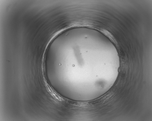 X0000051251052200507082145