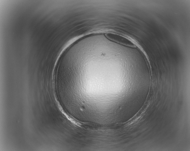 X0000051251053200507082145