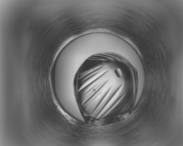 X0000051251054200507082145