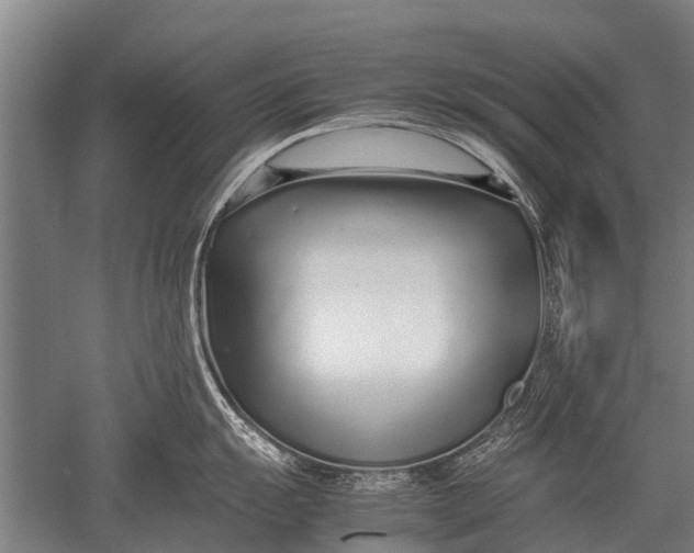 X0000051251055200507082145