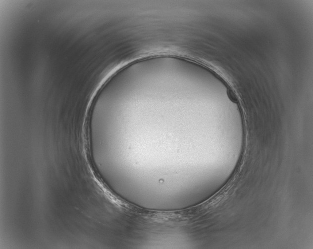 X0000051251056200507082145