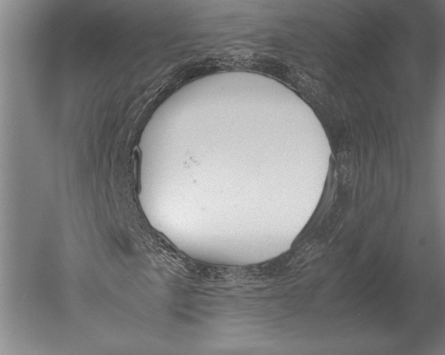 X0000051251057200507082144