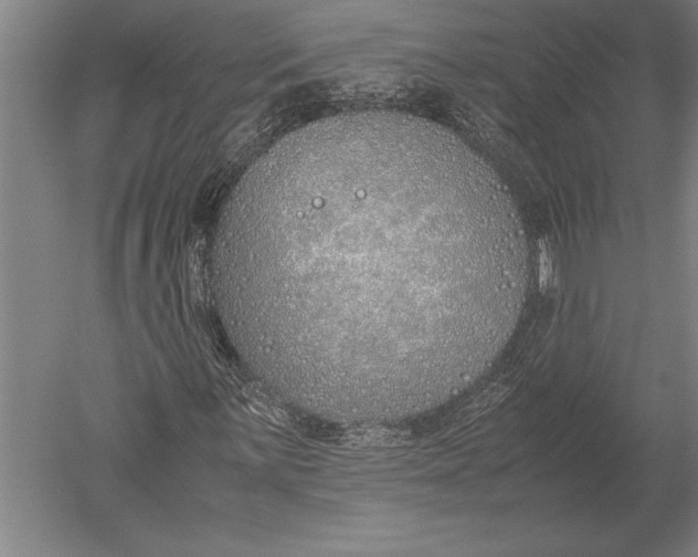 X0000051251059200507082144