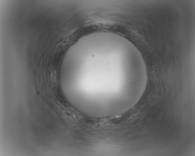 X0000051251061200507082144