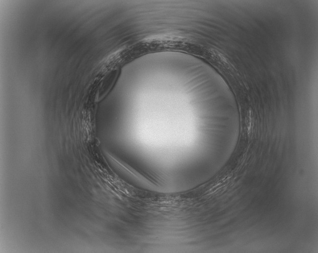 X0000051251062200507082144