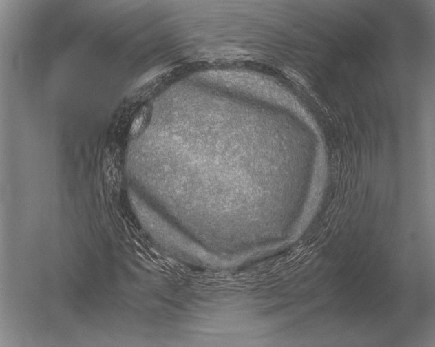 X0000051251063200507082144