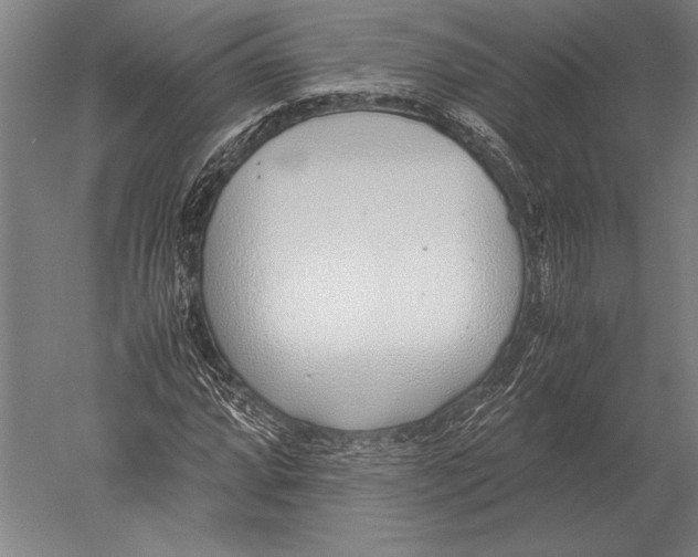 X0000051251064200507082144