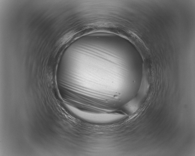 X0000051251065200507082144