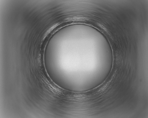 X0000051251066200507082144