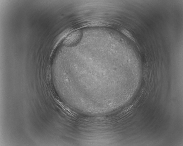 X0000051251067200507082144