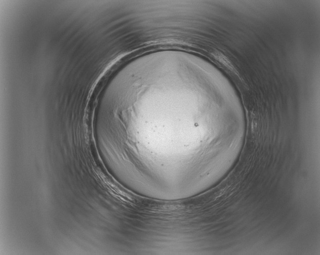 X0000051251068200507082144