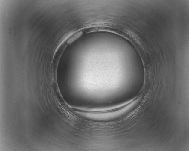 X0000051251069200507082144