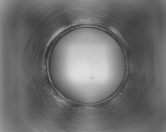 X0000051251070200507082144