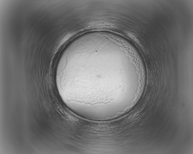 X0000051251071200507082144