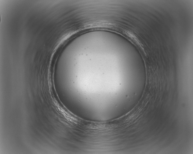 X0000051251072200507082144