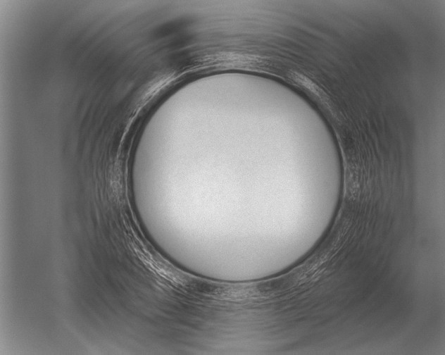 X0000051251074200507082144