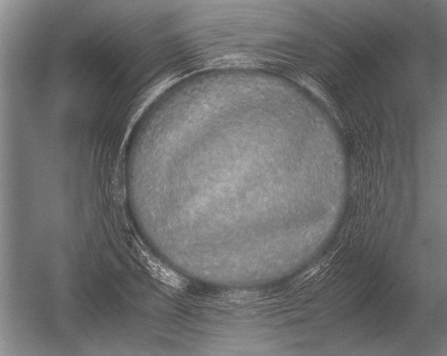 X0000051251075200507082144