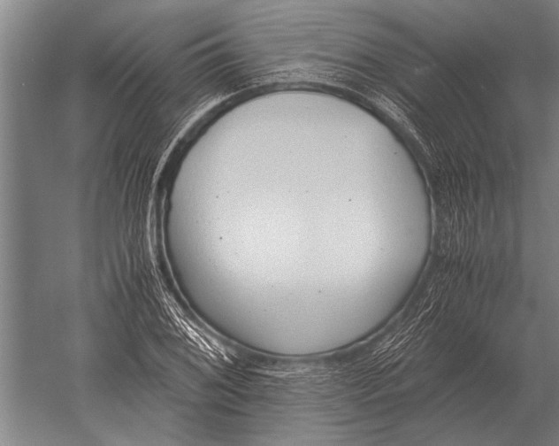 X0000051251076200507082144