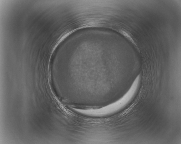 X0000051251077200507082144