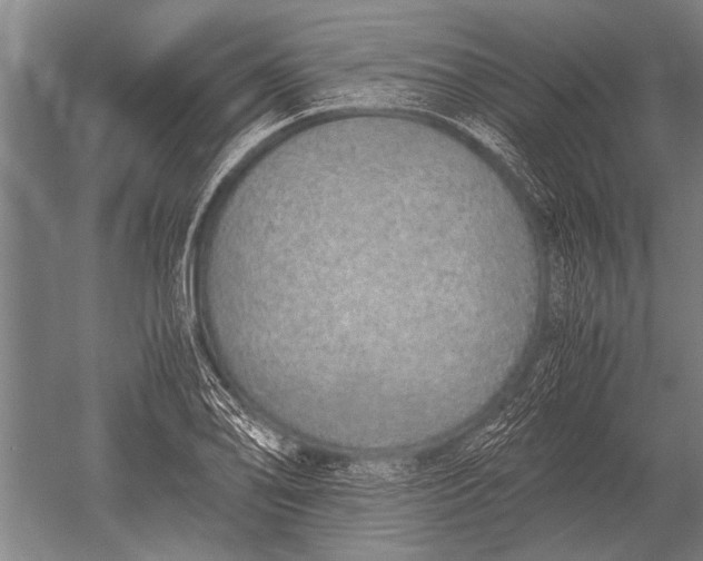 X0000051251078200507082144