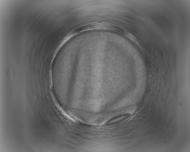 X0000051251079200507082144