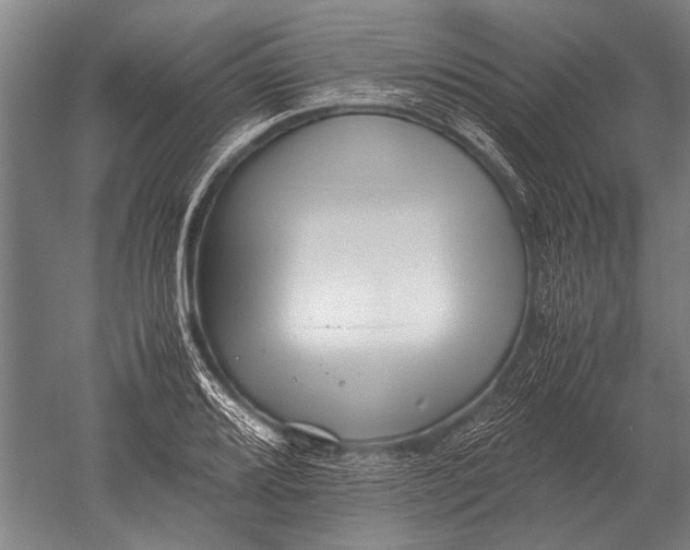 X0000051251080200507082144