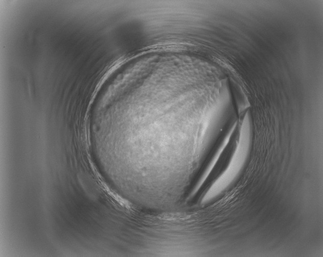 X0000051251083200507082144