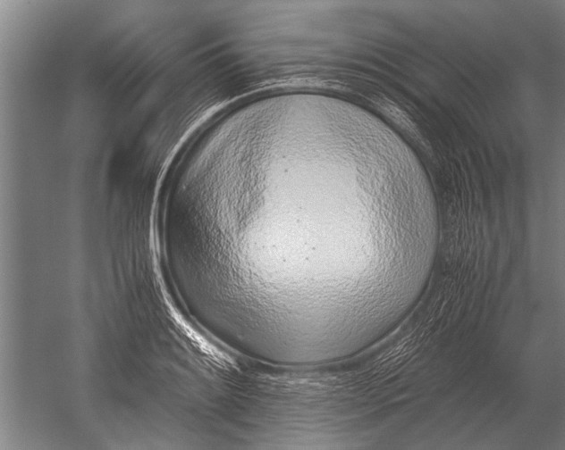 X0000051251084200507082144