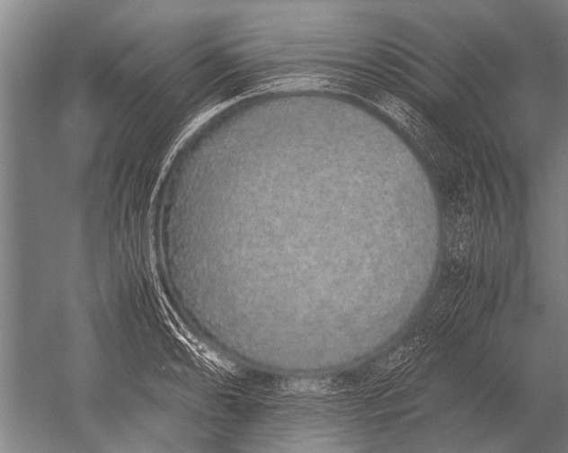 X0000051251086200507082144