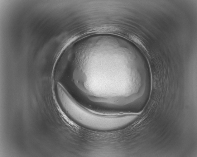 X0000051251087200507082144