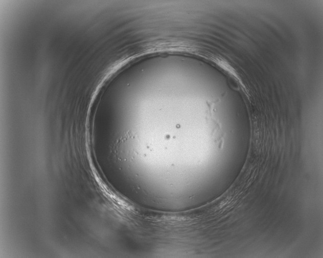 X0000051251088200507082144