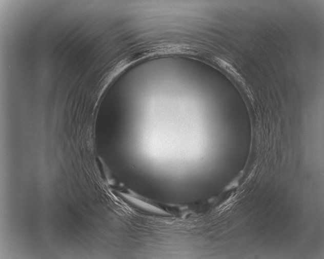 X0000051251089200507082144