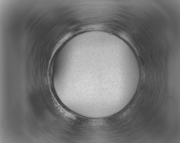 X0000051251090200507082144