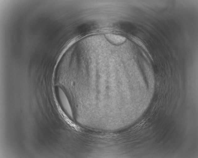 X0000051251091200507082144