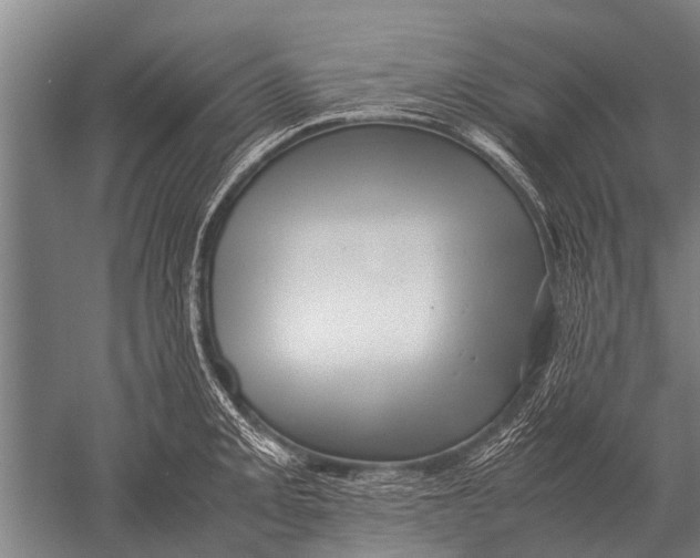 X0000051251093200507082144