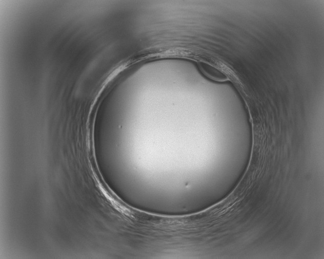 X0000051251095200507082144