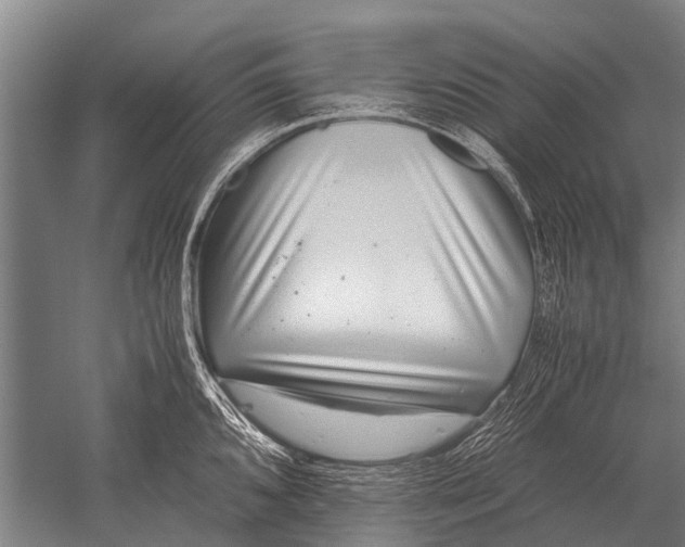 X0000051251096200507082144