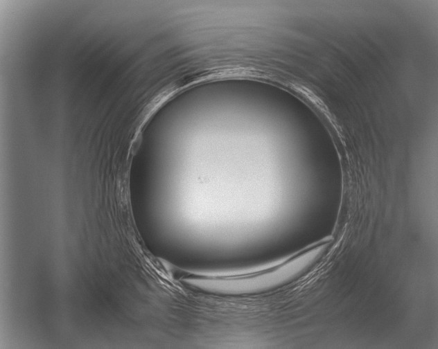 X0000051251097200507082144