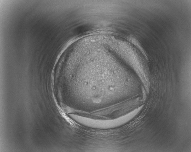 X0000051251099200507082144