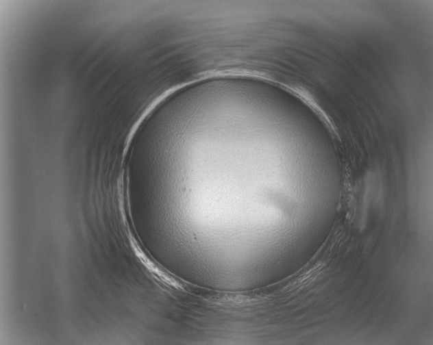 X0000051251100200507082144