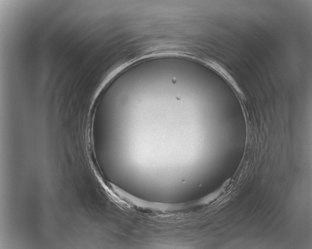 X0000051251101200507082144