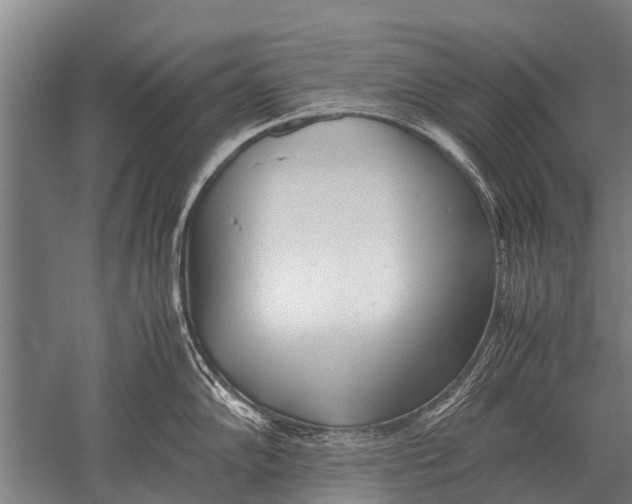 X0000051251102200507082144