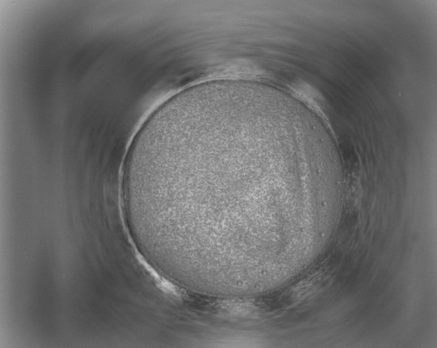 X0000051251103200507082144