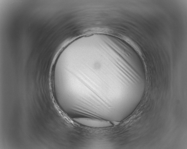 X0000051251104200507082144