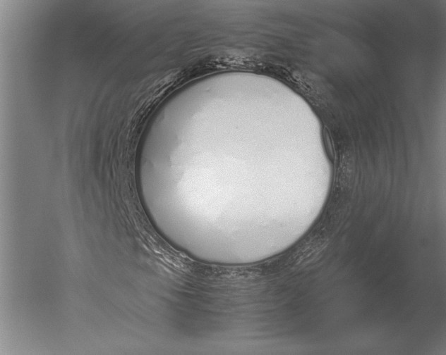 X0000051251105200507082143